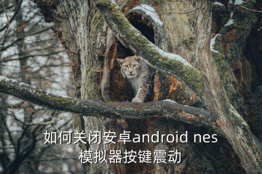 如何关闭安卓android nes模拟器按键震动