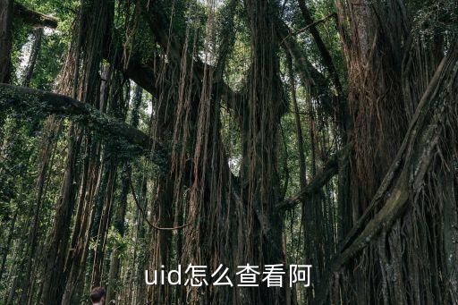 uid怎么查看阿