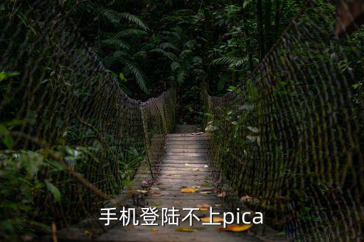 手机登陆不上pica