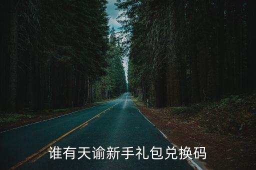 谁有天谕新手礼包兑换码