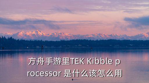 方舟手游里TEK Kibble processor 是什么该怎么用