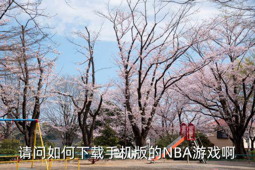 请问如何下载手机版的NBA游戏啊