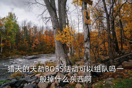 猎天的天劫BOSS活动可以组队吗一般掉什么东西啊