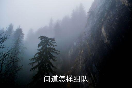 问道怎样组队