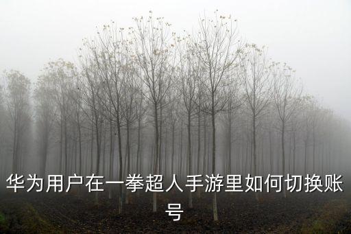 华为用户在一拳超人手游里如何切换账号