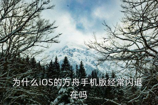 为什么iOS的方舟手机版经常闪退 在吗