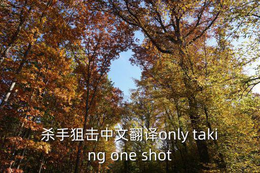 杀手狙击中文翻译only taking one shot