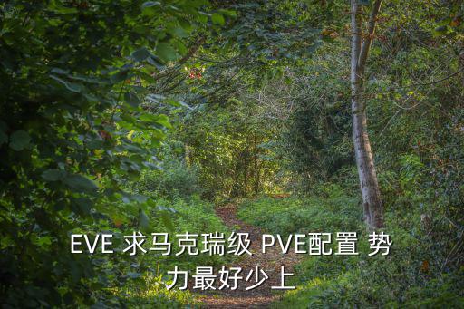 EVE 求马克瑞级 PVE配置 势力最好少上