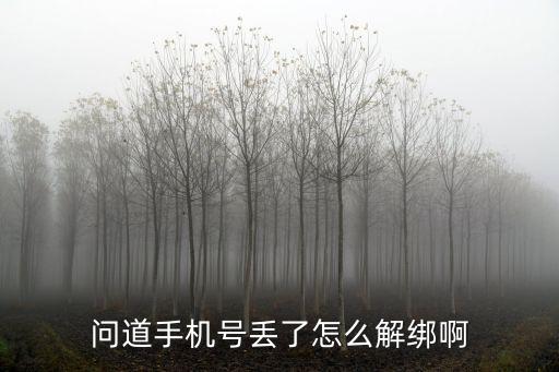 问道手机号丢了怎么解绑啊