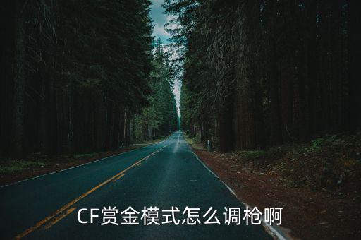 CF赏金模式怎么调枪啊