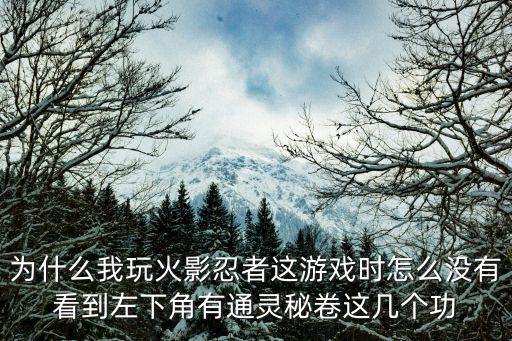 为什么我玩火影忍者这游戏时怎么没有看到左下角有通灵秘卷这几个功