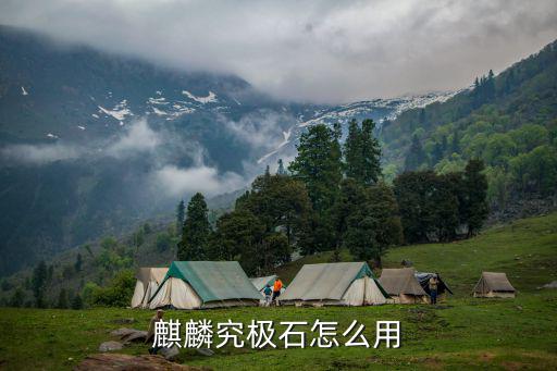 麒麟究极石怎么用