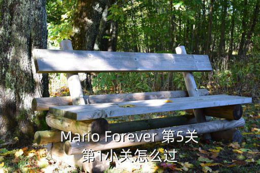 Mario Forever 第5关第1小关怎么过