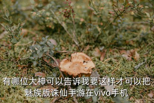 有哪位大神可以告诉我要这样才可以把魅族版诛仙手游在vivo手机