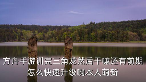 方舟手游怎么秒成长，方舟手游训完三角龙然后干嘛还有前期怎么快速升级啊本人萌新