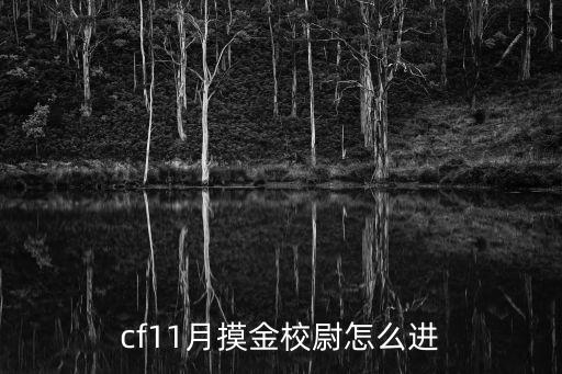 cf11月摸金校尉怎么进