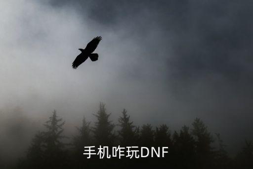 手机咋玩DNF