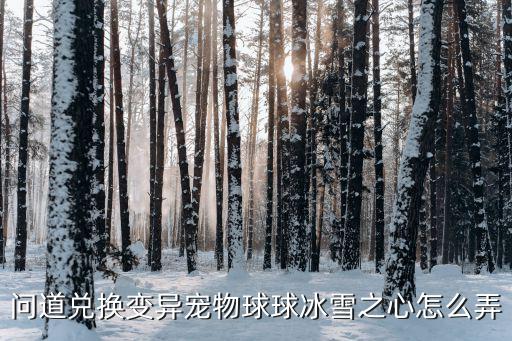 问道兑换变异宠物球球冰雪之心怎么弄