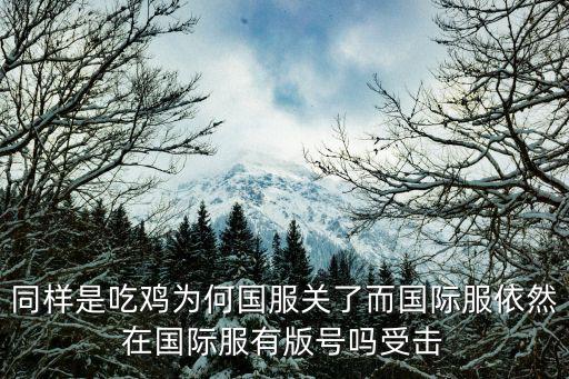 吃鸡国际服怎么没有手游版了，同样是吃鸡为何国服关了而国际服依然在国际服有版号吗受击