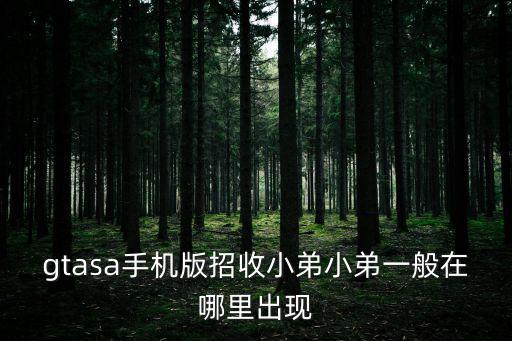 gtasa手机版招收小弟小弟一般在哪里出现