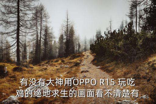 有没有大神用OPPO R15 玩吃鸡的绝地求生的画面看不清楚有