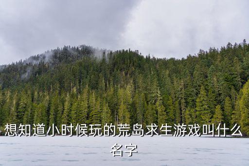 想知道小时候玩的荒岛求生游戏叫什么名字