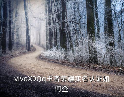 vivoX9Qq王者荣耀实名认证如何登