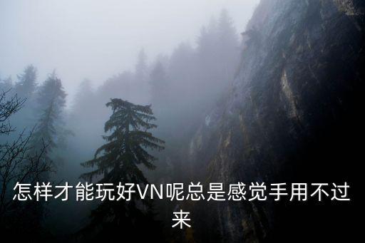 怎样才能玩好VN呢总是感觉手用不过来