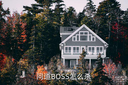 问道BOSS怎么杀