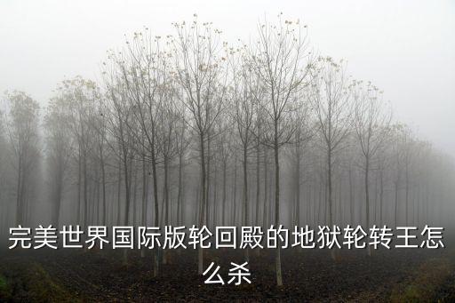 完美世界手游地狱精灵怎么打，地狱战神带善恶和泰山请问打吸血或鬼魂应该怎么打谢谢