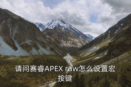 apex手游按键布局怎么通用，请问赛睿APEX raw怎么设置宏按键