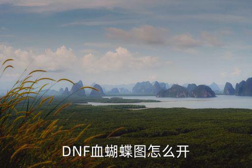 DNF血蝴蝶图怎么开