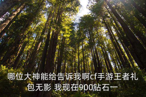 哪位大神能给告诉我啊cf手游王者礼包无影 我现在900钻石一