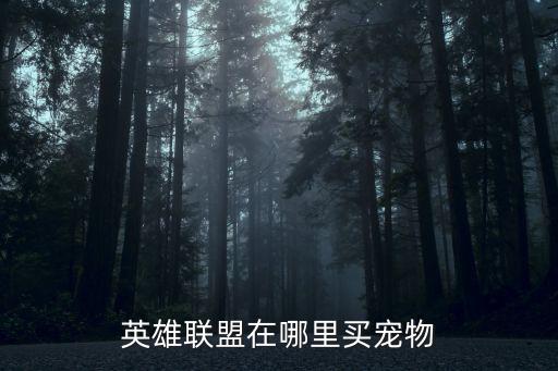 英雄联盟手游怎么买猫咪，怎样买小猫