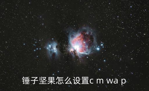 锤子坚果怎么设置c m wa p