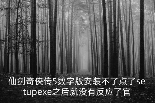 仙剑奇侠传5数字版安装不了点了setupexe之后就没有反应了官