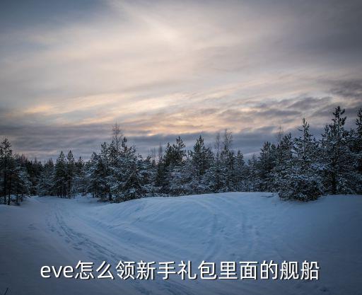 eve怎么领新手礼包里面的舰船