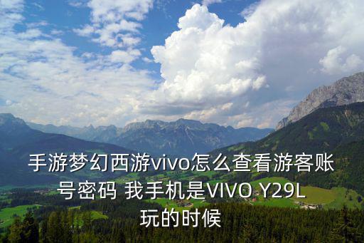 手游梦幻西游vivo怎么查看游客账号密码 我手机是VIVO Y29L玩的时候