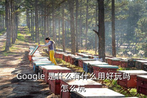 Google 是什么有什么用好玩吗怎么玩