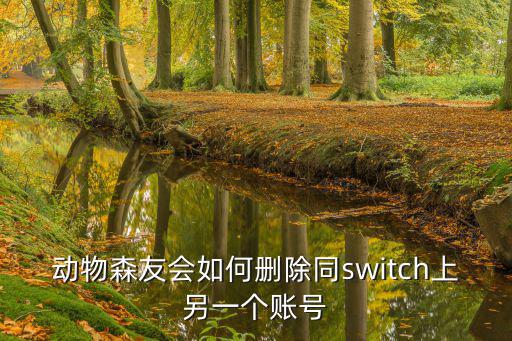 动物森友会如何删除同switch上另一个账号