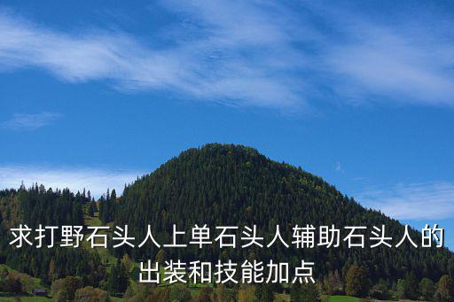 求打野石头人上单石头人辅助石头人的出装和技能加点