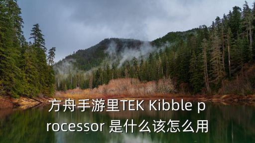 方舟手游里TEK Kibble processor 是什么该怎么用