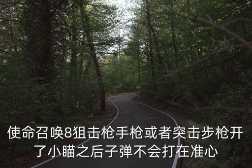 使命召唤8狙击枪手枪或者突击步枪开了小瞄之后子弹不会打在准心