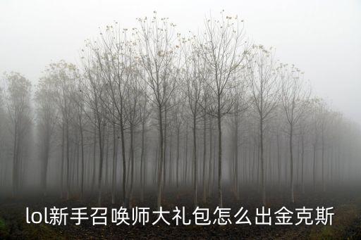 lol新手召唤师大礼包怎么出金克斯