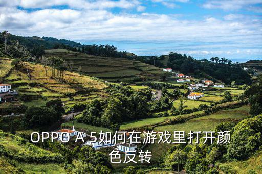 OPPO A 5如何在游戏里打开颜色反转