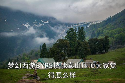 梦幻西游BYRS技能泰山压顶大家觉得怎么样