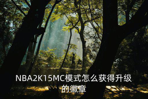 NBA2K15MC模式怎么获得升级的徽章