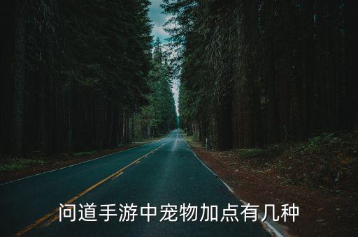 问道手游中宠物加点有几种