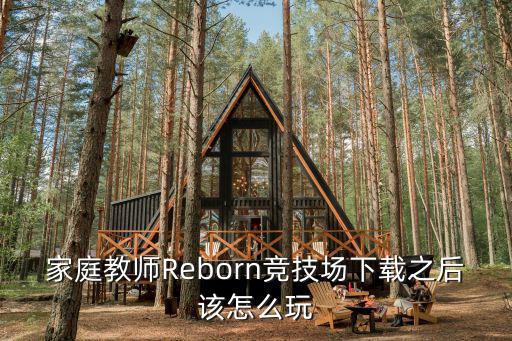 家庭教师Reborn竞技场下载之后该怎么玩