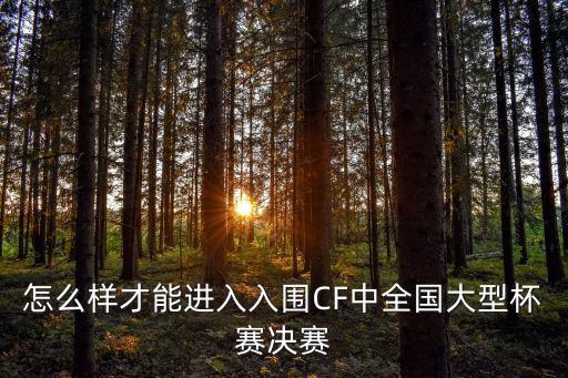 怎么样才能进入入围CF中全国大型杯赛决赛